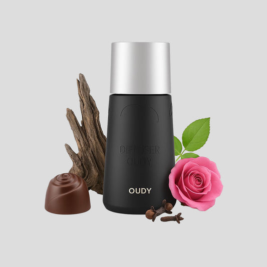 DIFFUSEUR DE PARFUM DE VOITURE HUILE PARFUMÉE OUDY